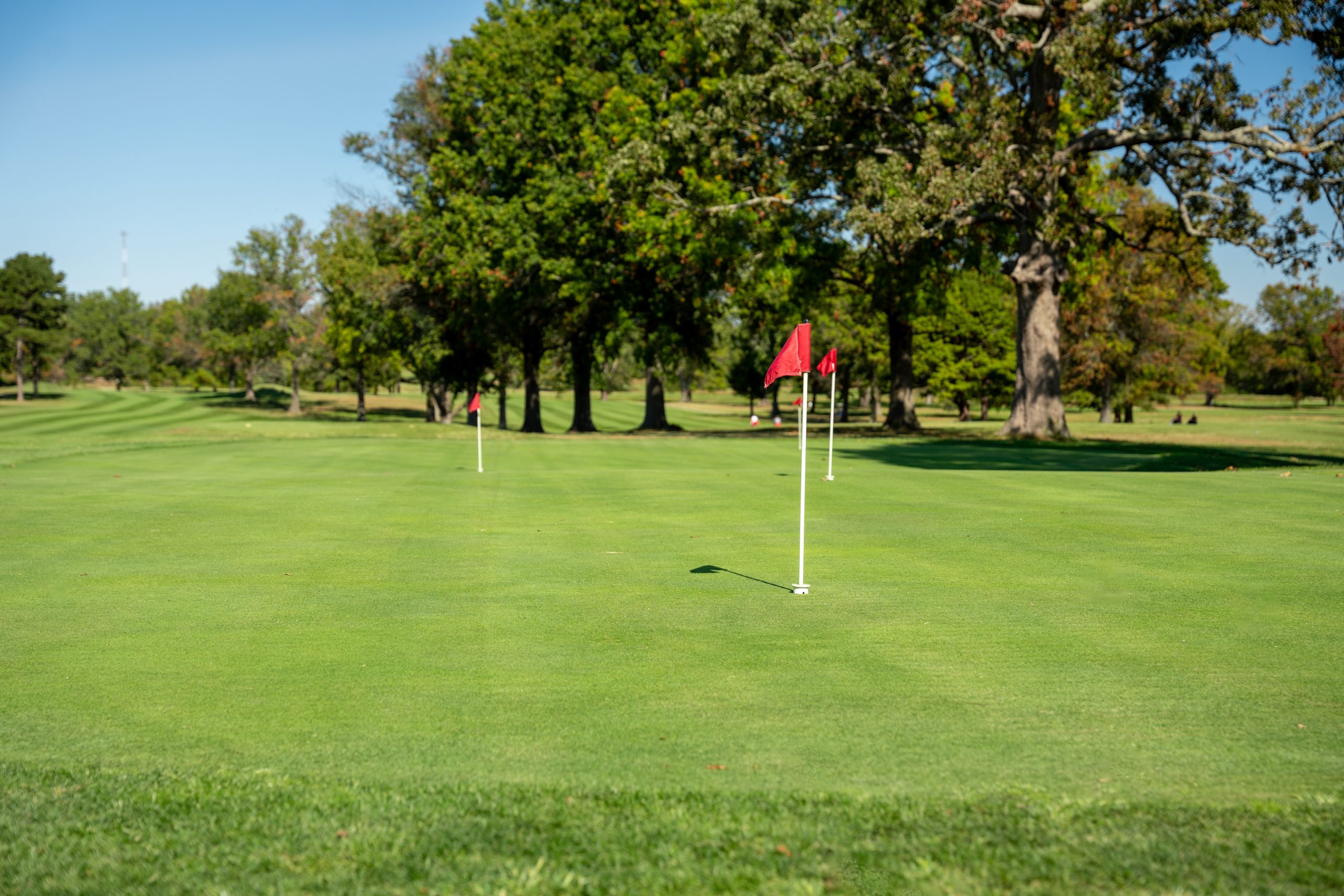 Sullivan Golf Course Sullivan Golf Course Sullivan Golf Course Sullivan Golf Course